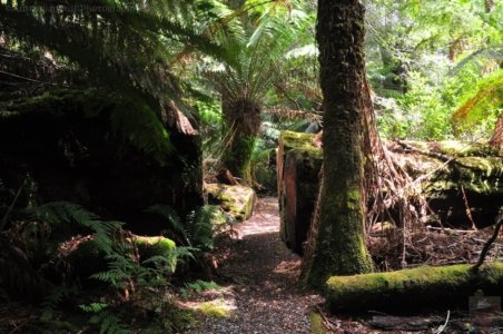 Styx River Walk.010 13h29m47s2020 01 27 Styx River Walk.010 13h29m47s2020 01 27