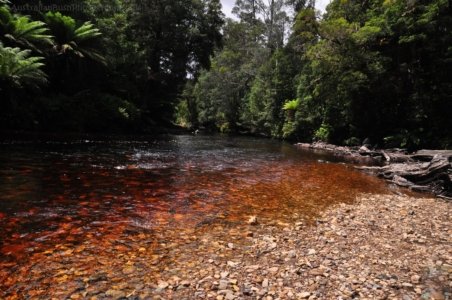 Styx River Walk.013 13h34m19s2020 01 27 Styx River Walk.013 13h34m19s2020 01 27