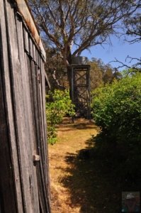 The Steppes Homestead.013 12h29m36s2020 02 05