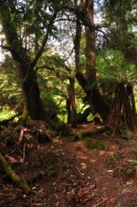 Tolkien Track.004 14h16m07s2020 01 27 Tolkien Track.004 14h16m07s2020 01 27