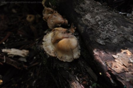 Tolkien Track.019 14h31m13s2020 01 27 Tolkien Track.019 14h31m13s2020 01 27