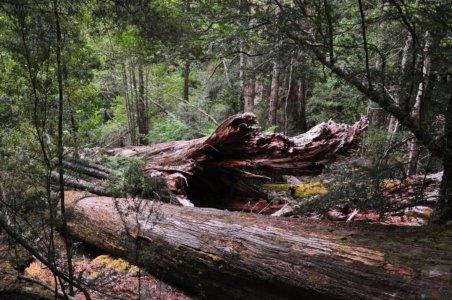 Tolkien Track.022 14h39m47s2020 01 27 Tolkien Track.022 14h39m47s2020 01 27