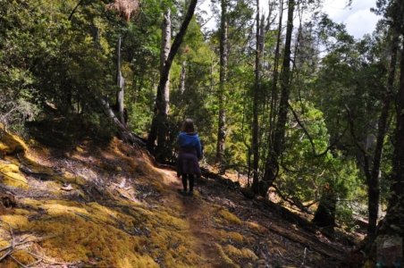 Tolkien Track.023 14h43m05s2020 01 27 Tolkien Track.023 14h43m05s2020 01 27