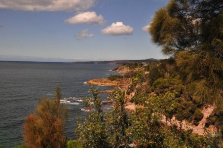 Aslings BeachEden.003 13h35m40s2020 03 15 Aslings BeachEden.003 13h35m40s2020 03 15