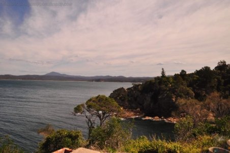 Eden.029 14h06m59s2020 03 13 Eden.029 14h06m59s2020 03 13