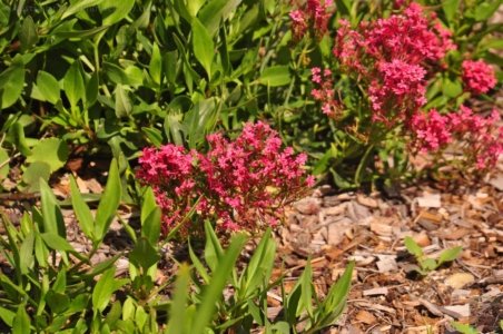 Eden.039 14h09m39s2020 03 13 Eden.039 14h09m39s2020 03 13