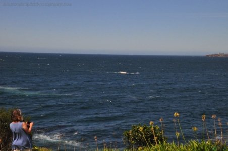 Eden.043 14h14m02s2020 03 13 Eden.043 14h14m02s2020 03 13