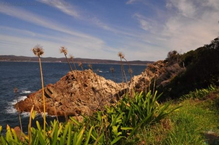 Eden.048 14h16m15s2020 03 13 Eden.048 14h16m15s2020 03 13