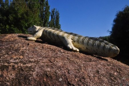 Genoa Campground.013 09h34m18s2020 03 11 Genoa Campground.013 09h34m18s2020 03 11