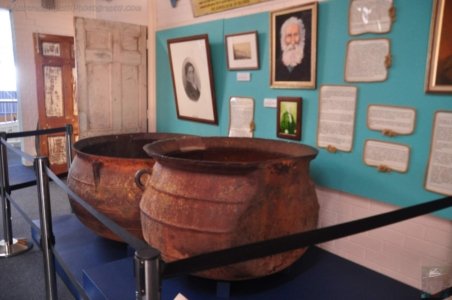 Killer Whale MuseumEden.001 11h43m39s2020 03 15 Killer Whale MuseumEden.001 11h43m39s2020 03 15