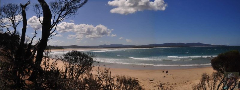 Mallacoota Coastline and Fire Destruction Mallacoota Coastline and Fire Destruction