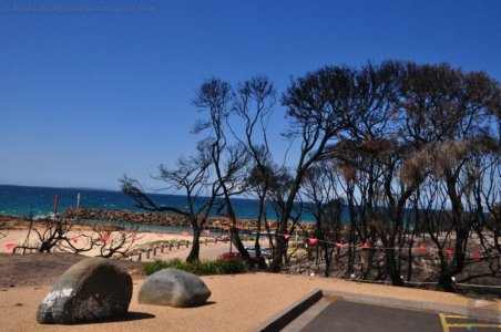 Mallacoota.011 13h28m24s2020 03 11 Mallacoota.011 13h28m24s2020 03 11