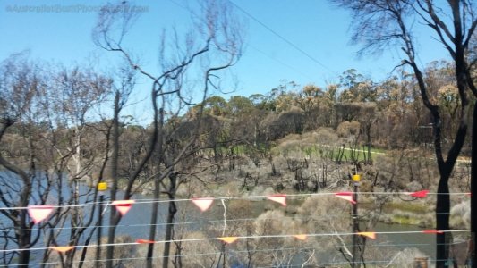 Mallacoota.012 13h21m13s2020 03 11 Mallacoota.012 13h21m13s2020 03 11