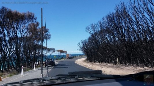 Mallacoota.013 13h26m29s2020 03 11 Mallacoota.013 13h26m29s2020 03 11