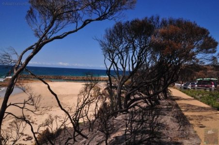 Mallacoota.015 13h31m32s2020 03 11 Mallacoota.015 13h31m32s2020 03 11