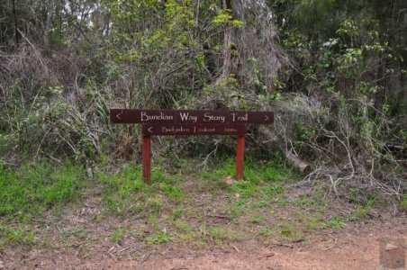 The Bundian WayEden.003 14h58m21s2020 03 14 The Bundian WayEden.003 14h58m21s2020 03 14