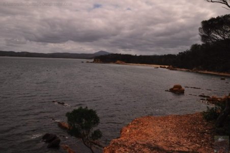 The Bundian WayEden.005 15h02m36s2020 03 14 The Bundian WayEden.005 15h02m36s2020 03 14