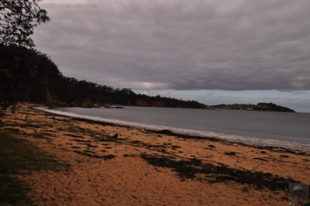 The Bundian WayEden.022 15h23m27s2020 03 14 The Bundian WayEden.022 15h23m27s2020 03 14