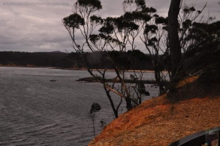 The Bundian WayEden.025 15h30m26s2020 03 14 The Bundian WayEden.025 15h30m26s2020 03 14