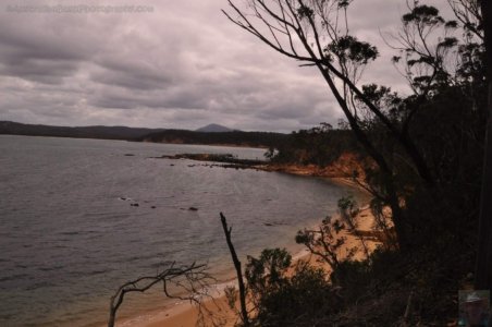 The Bundian WayEden.028 15h35m52s2020 03 14 The Bundian WayEden.028 15h35m52s2020 03 14