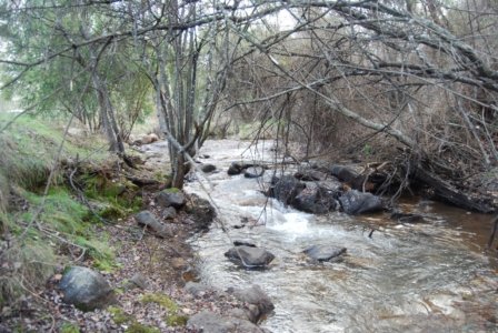 Yackandandah Gorge003 3.13 PM18 Jul 18 Yackandandah Gorge003 3.13 PM18 Jul 18