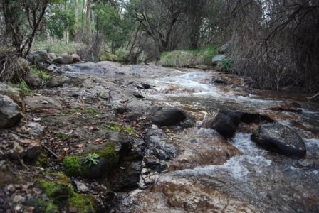 Yackandandah Gorge004 3.13 PM18 Jul 18 Yackandandah Gorge004 3.13 PM18 Jul 18