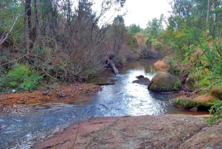 Yackandandah Gorge009 3.33 PM18 Jul 18 jpg Yackandandah Gorge009 3.33 PM18 Jul 18 jpg