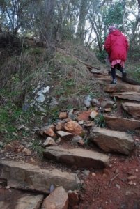 Yackandandah Gorge018 3.44 PM18 Jul 18 Yackandandah Gorge018 3.44 PM18 Jul 18