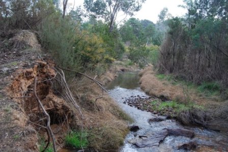 Yackandandah Gorge028 4.08 PM18 Jul 18 Yackandandah Gorge028 4.08 PM18 Jul 18