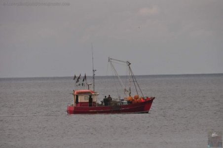 Boydtown Beach and Bays.007 12h55m36s2020 04 08 Boydtown Beach and Bays.007 12h55m36s2020 04 08