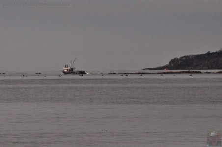 Boydtown Beach and Bays.016 12h15m39s2020 05 07 Boydtown Beach and Bays.016 12h15m39s2020 05 07