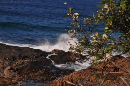 1080 Beach.002 11h58m32s2020 06 26 1080 Beach.002 11h58m32s2020 06 26