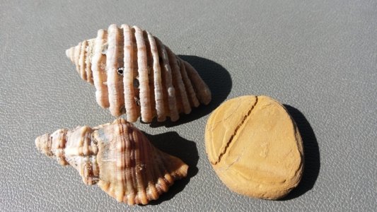 20200328 145922 scaled 20200328 145922 scaled