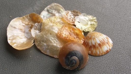 20200330 175530 scaled 20200330 175530 scaled