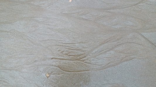 20200409 161020 scaled 20200409 161020 scaled