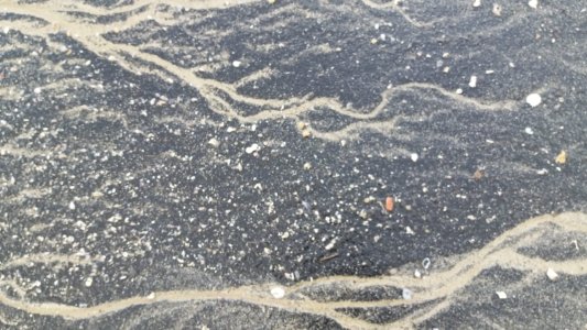 20200409 161155 scaled 20200409 161155 scaled