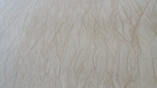 20200409 161539 scaled 20200409 161539 scaled