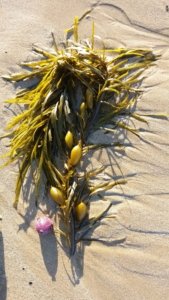 20200410 160948 scaled 20200410 160948 scaled