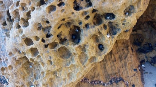 20200410 163610 scaled 20200410 163610 scaled