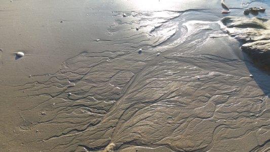 20200410 164212 scaled 20200410 164212 scaled