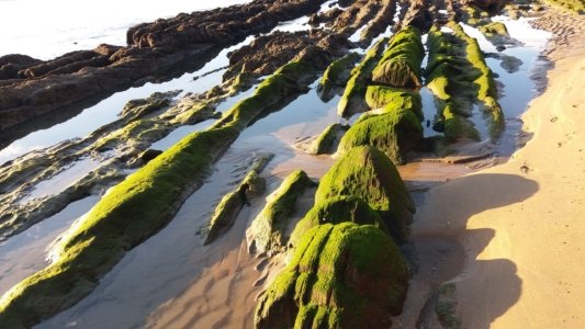 20200410 165453 scaled 20200410 165453 scaled