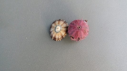 20200410 171013 scaled 20200410 171013 scaled