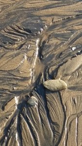 20200416 221616 20200416 221616