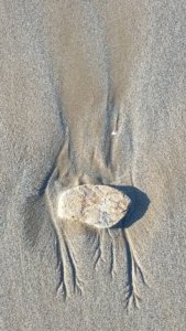 20200417 083741 20200417 083741