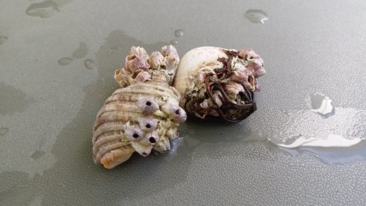 20200425 122816 scaled 20200425 122816 scaled