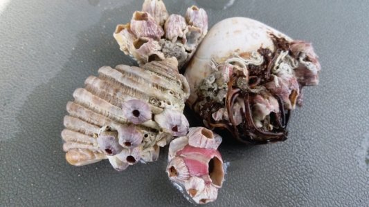 20200425 123254 scaled 20200425 123254 scaled