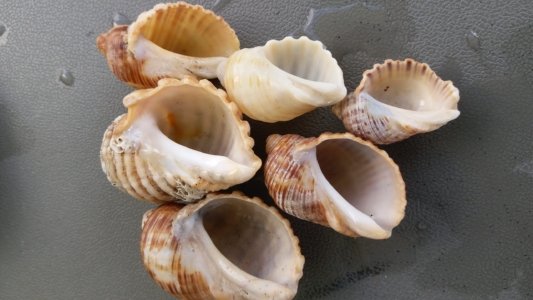 20200425 123317 scaled 20200425 123317 scaled