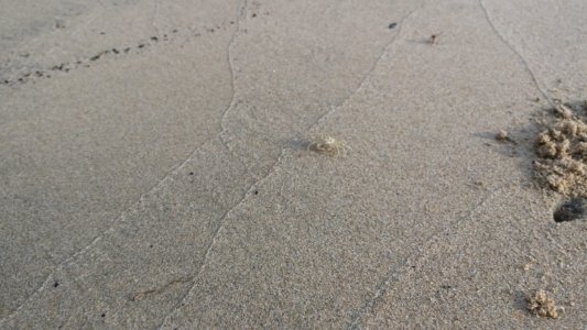 20200425 160909 scaled 20200425 160909 scaled