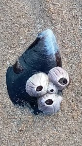 20200527 174155 20200527 174155