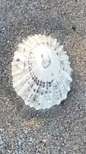 20200528 171253 20200528 171253